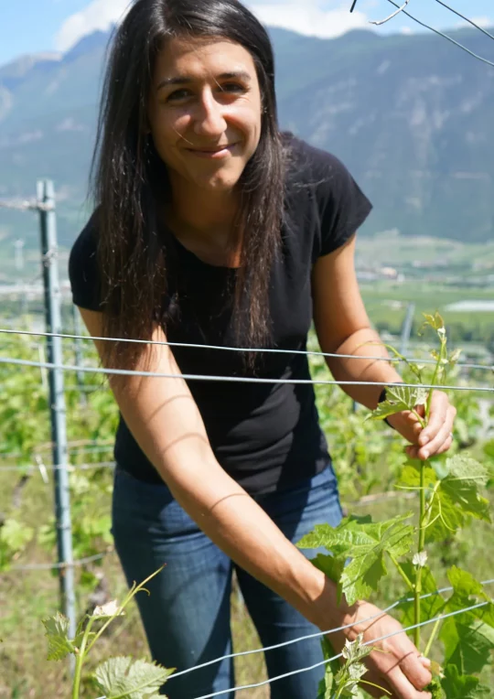 Cave de l’Orlaya - Mathilde Roux