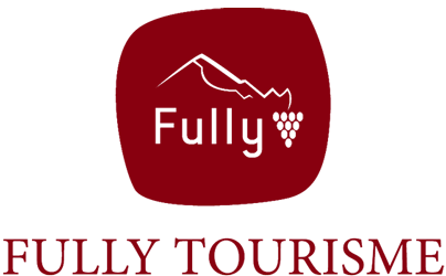 logo fully tourisme