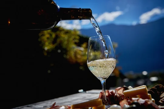 Les Caves Ouvertes du Valais