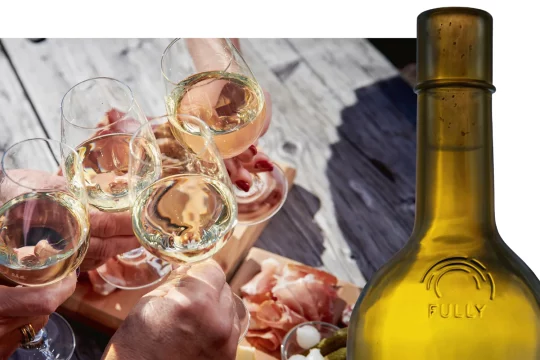 Le Village des Petites Arvines de Fully